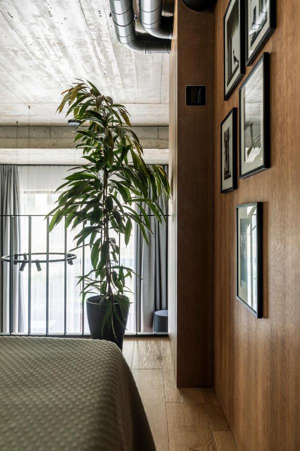 Stylish Loft With Terrace Paupys, Old Town Apartment Vilnius Ngoại thất bức ảnh